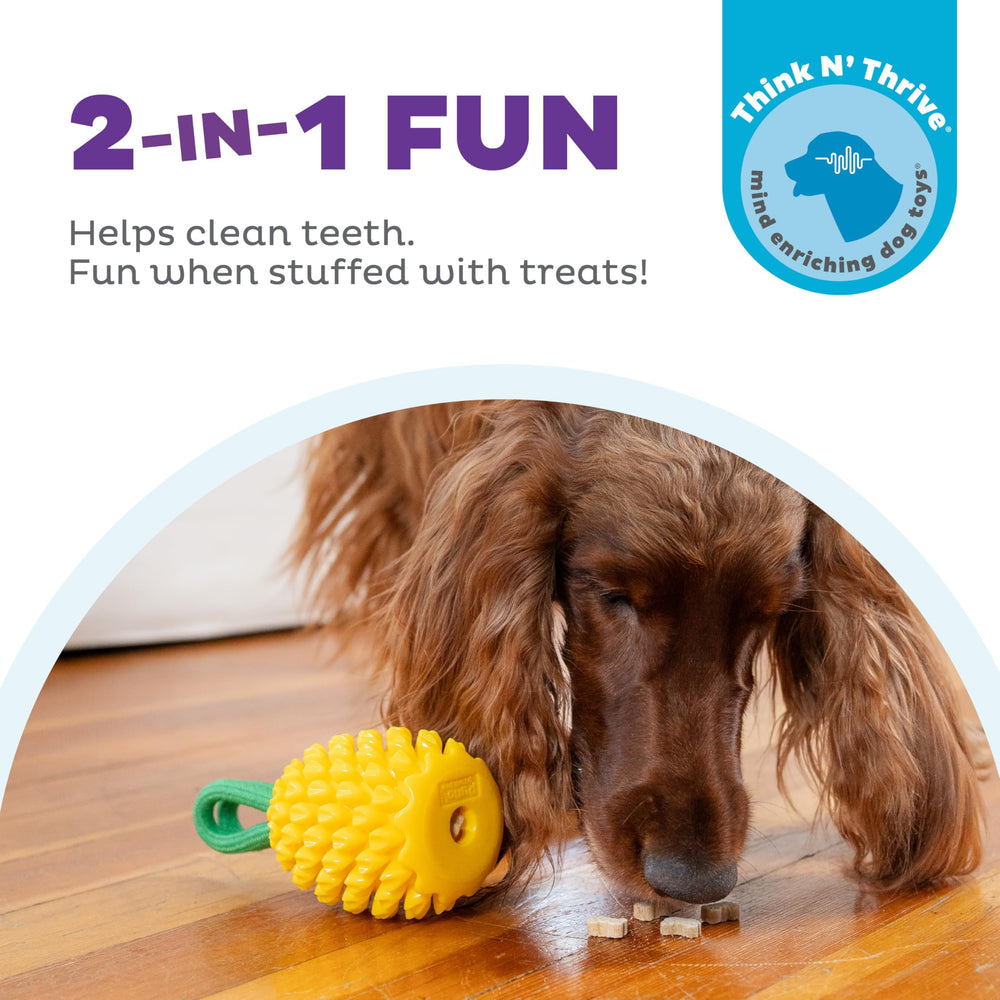 Outward Hound Juguete dental piña, olor estimulante para perros, mantiene interés y aliento fresco