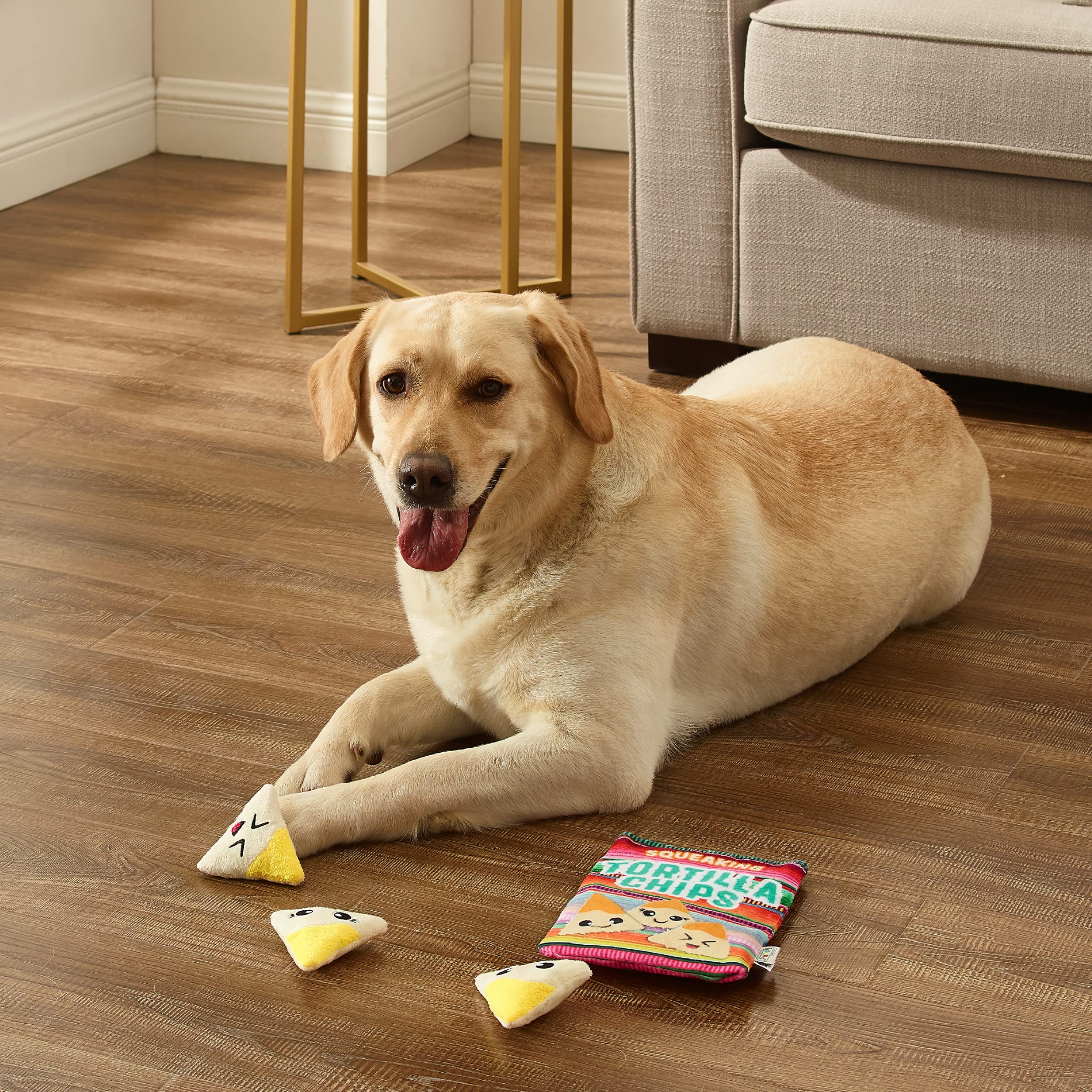 Outward Hound Juguete Interactivo Rompecabezas para Perros: juego mental con recompensa.