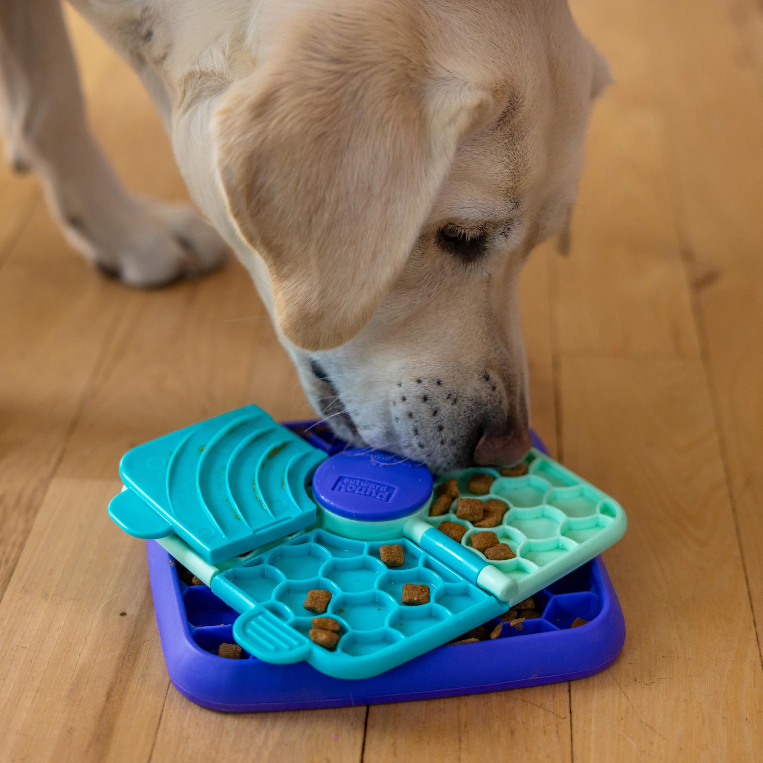 Outward Hound Lick N’ Flip libre de BPA para uso diario.