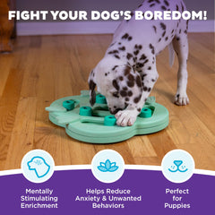 Outward Hound Nina Ottosson Hide N' Slide: deslizadores y bloques para premiar