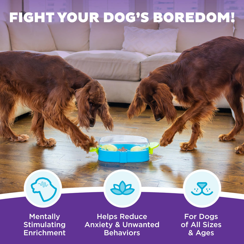 Outward Hound Paw N' Play manijas que permiten mover las patas y liberar premios.