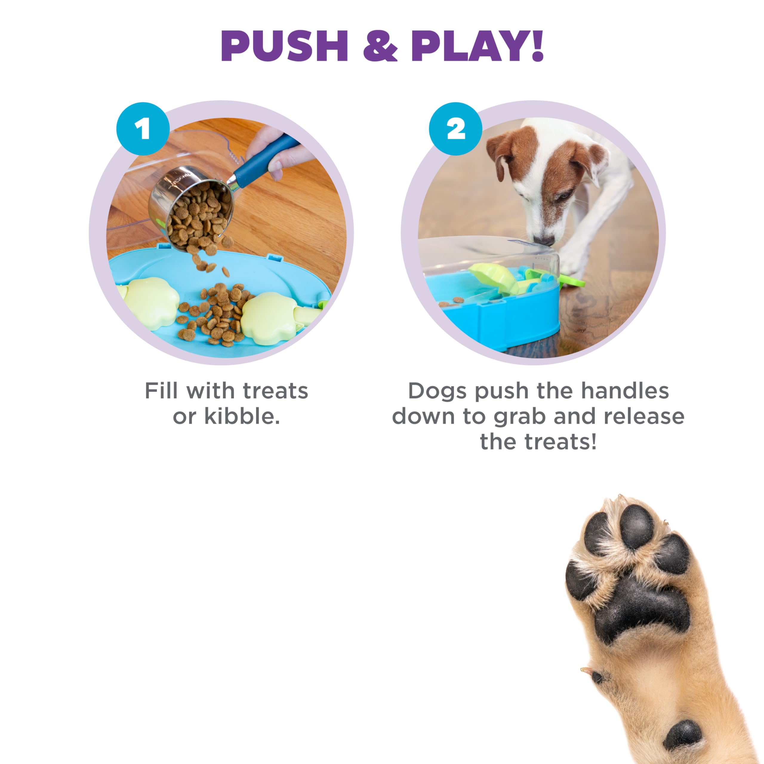 Outward Hound Paw N' Play varios perros jugando en una sesión compartida.