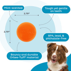 Outward Hound Pelota Chillido Para Masticadores, diseñada para masticar sin perder el rebote.