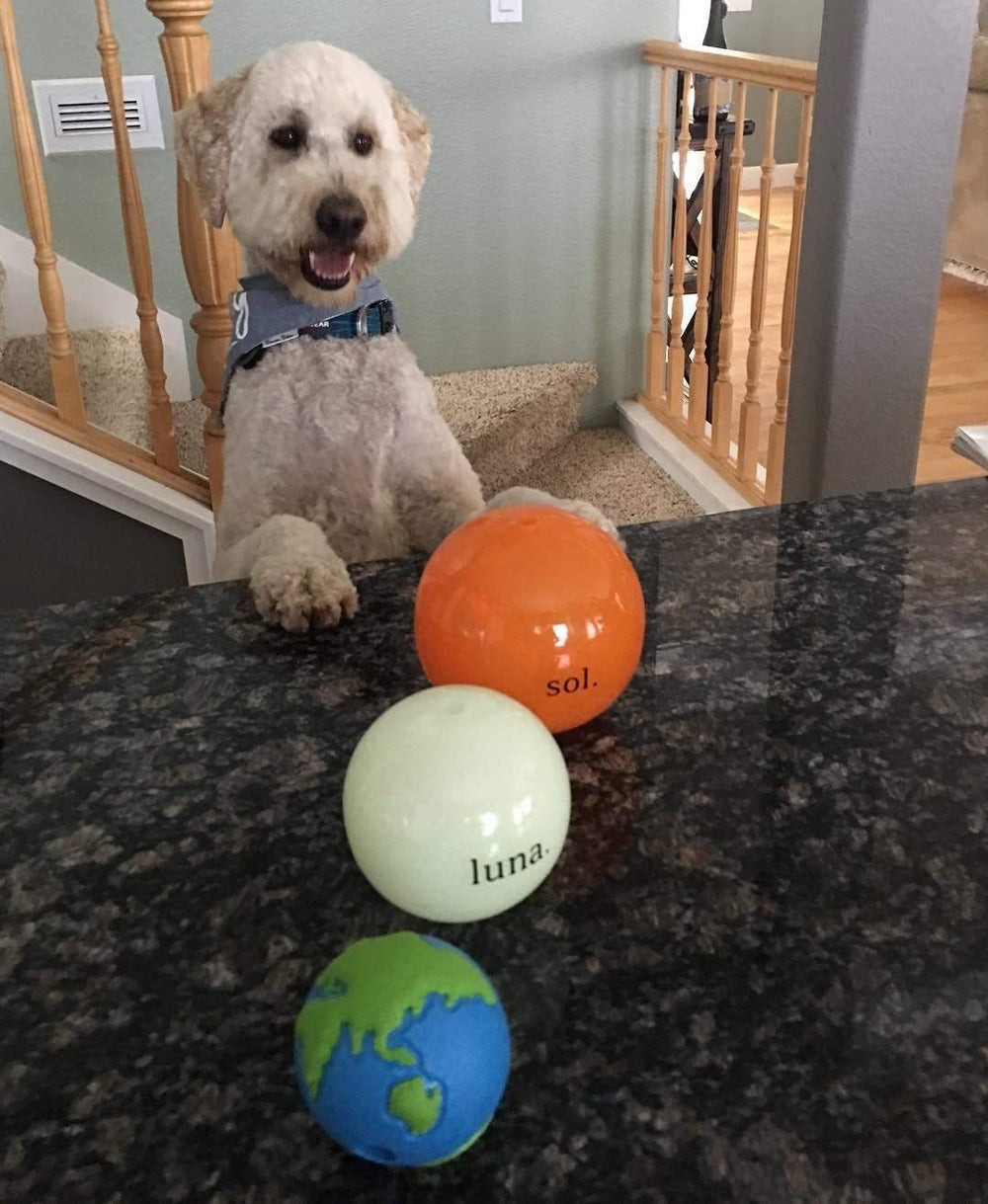 Outward Hound Planet Ball fácil de limpiar con agua tibia
