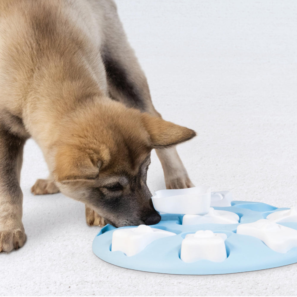 Design bleu moderne du Puppy Smart, jouet d’enrichissement attrayant