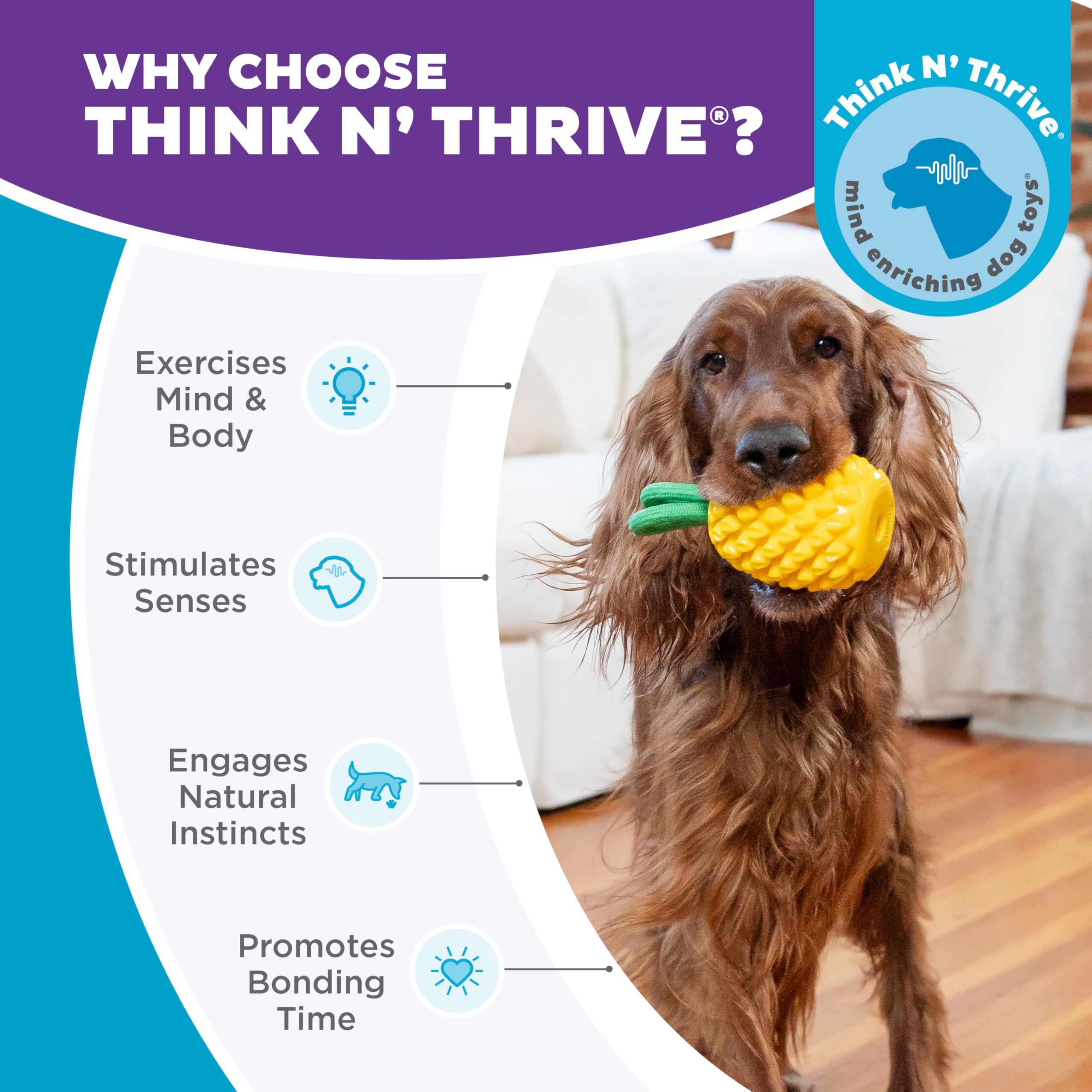 Outward Hound Juguete piña sabor piña, promueve masticación segura y juego interactivo