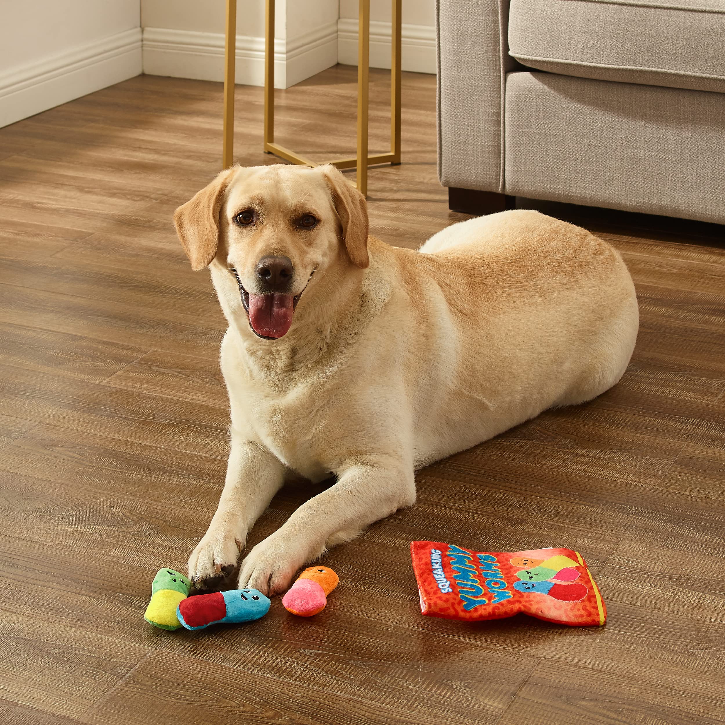Outward Hound Bolsa de Refrigerios Gusanos Sabrosos, tamaño adecuado para razas pequeñas