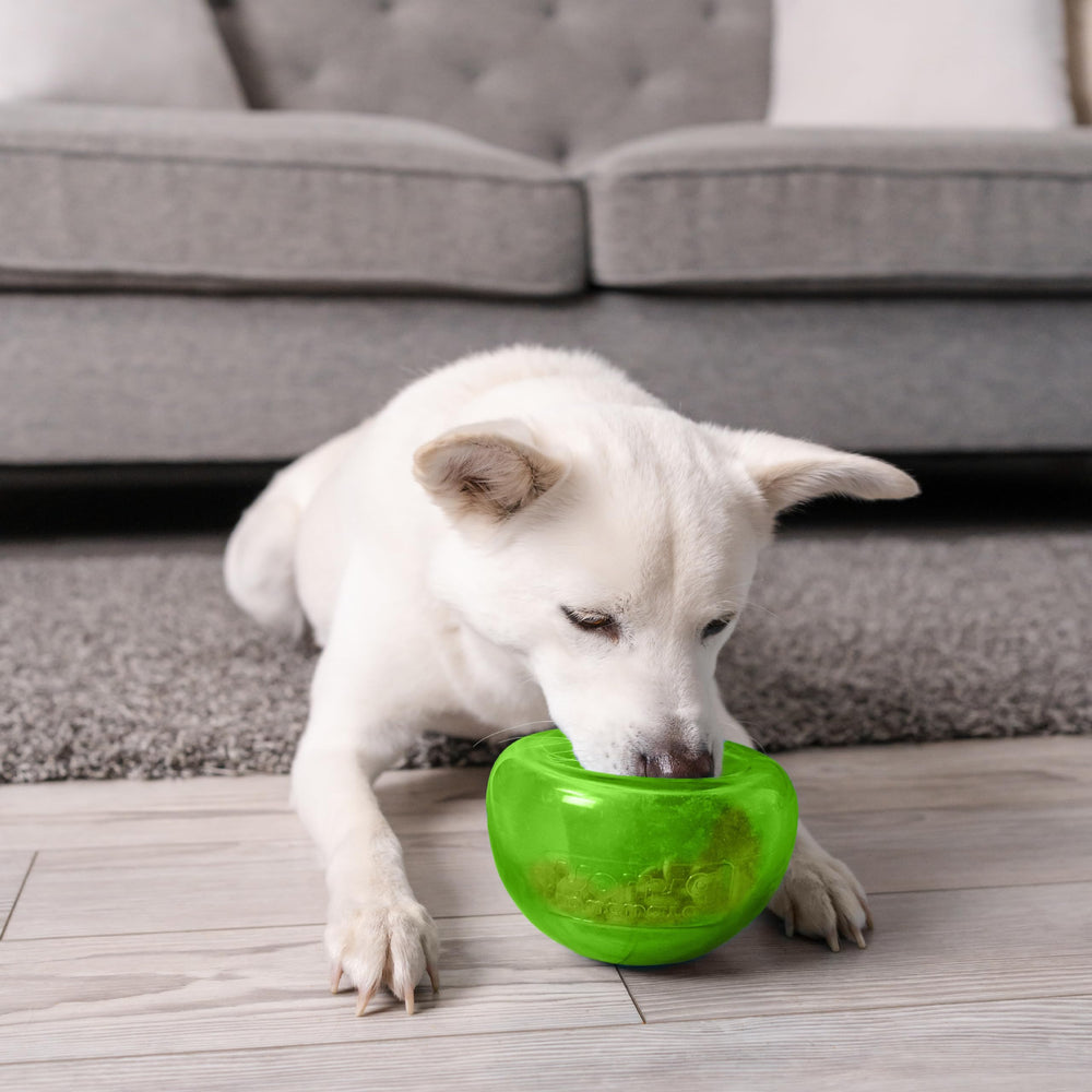Outward Hound Snoop fácil limpieza con agua tibia y jabón suave