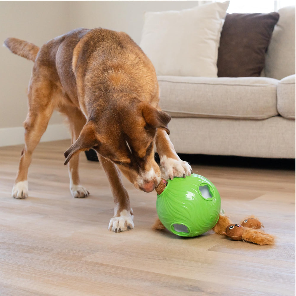 Outward Hound Snuffle N' Treat Ball repuestos peluches disponibles