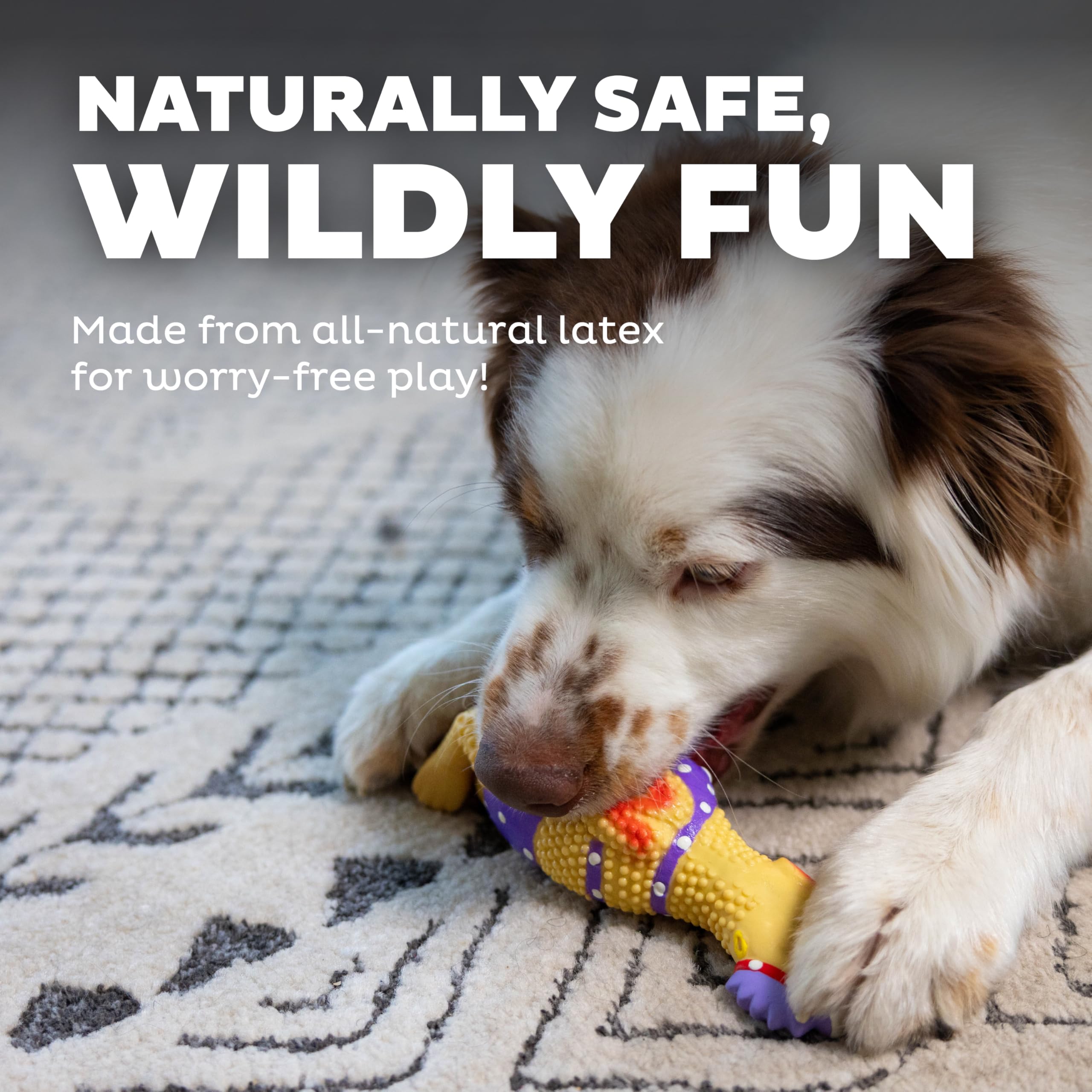 Outward Hound Squawkers Henrietta: perfecto para lanzamiento y juego activo en interiores o exteriores.