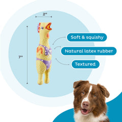 Outward Hound Squawkers Henrietta: pollo de látex con chirrido, ideal para juego interactivo.