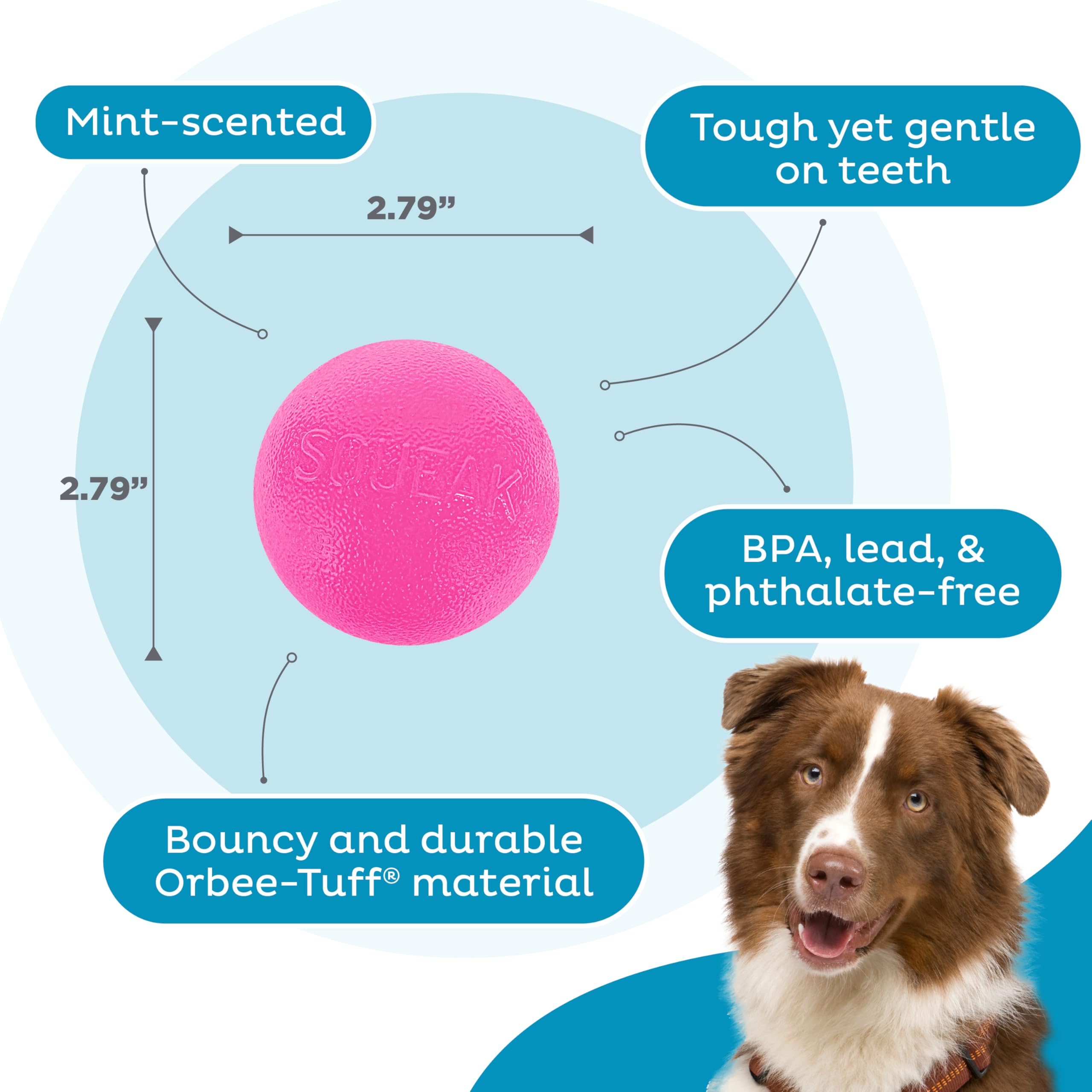 Outward Hound Squeak Ball – Material Orbee-Tuff, duradera y segura para masticar.