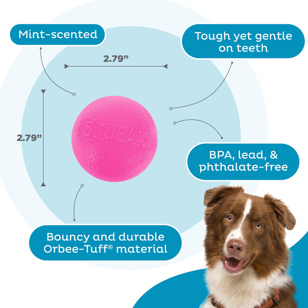 Outward Hound Squeak Ball – Material Orbee-Tuff, duradera y segura para masticar.