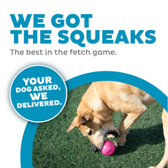 Outward Hound Squeak Ball – Flotante en agua para diversión interior y exterior.