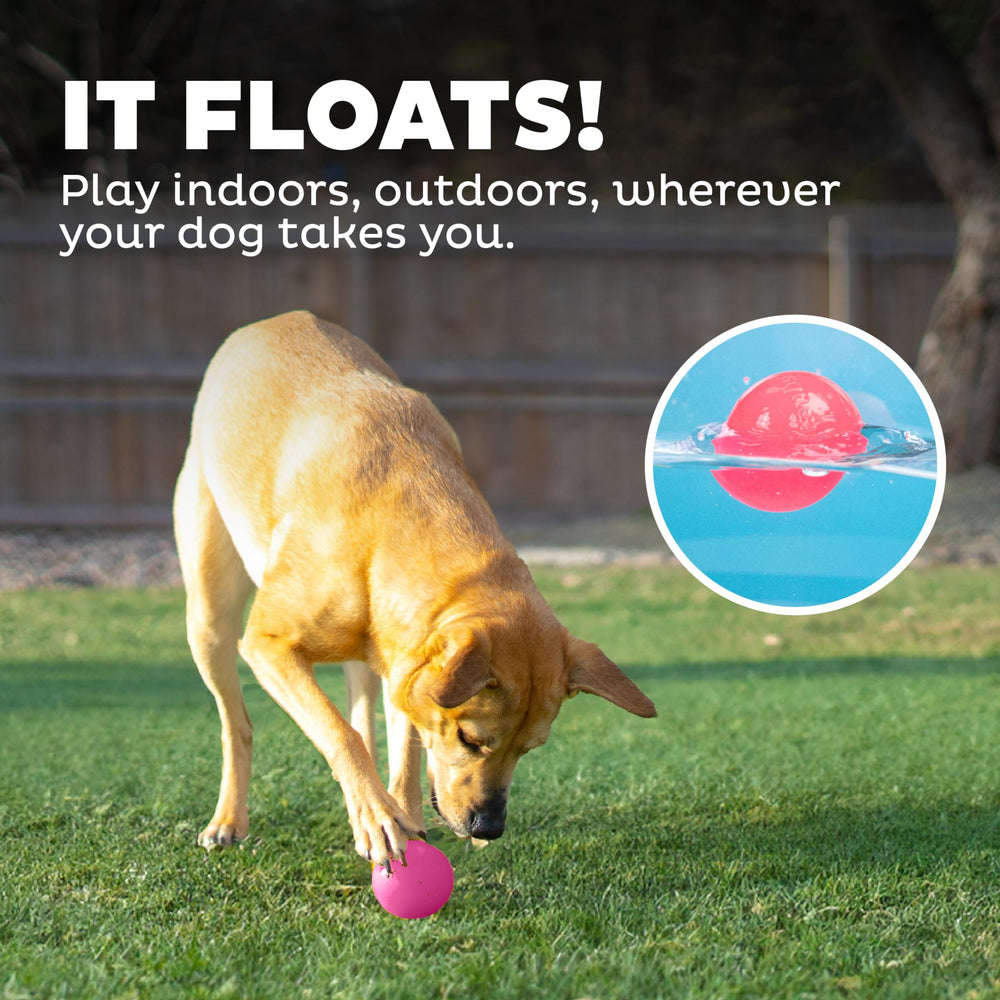 Outward Hound Squeak Ball – Ideal para juegos en interiores y exteriores.