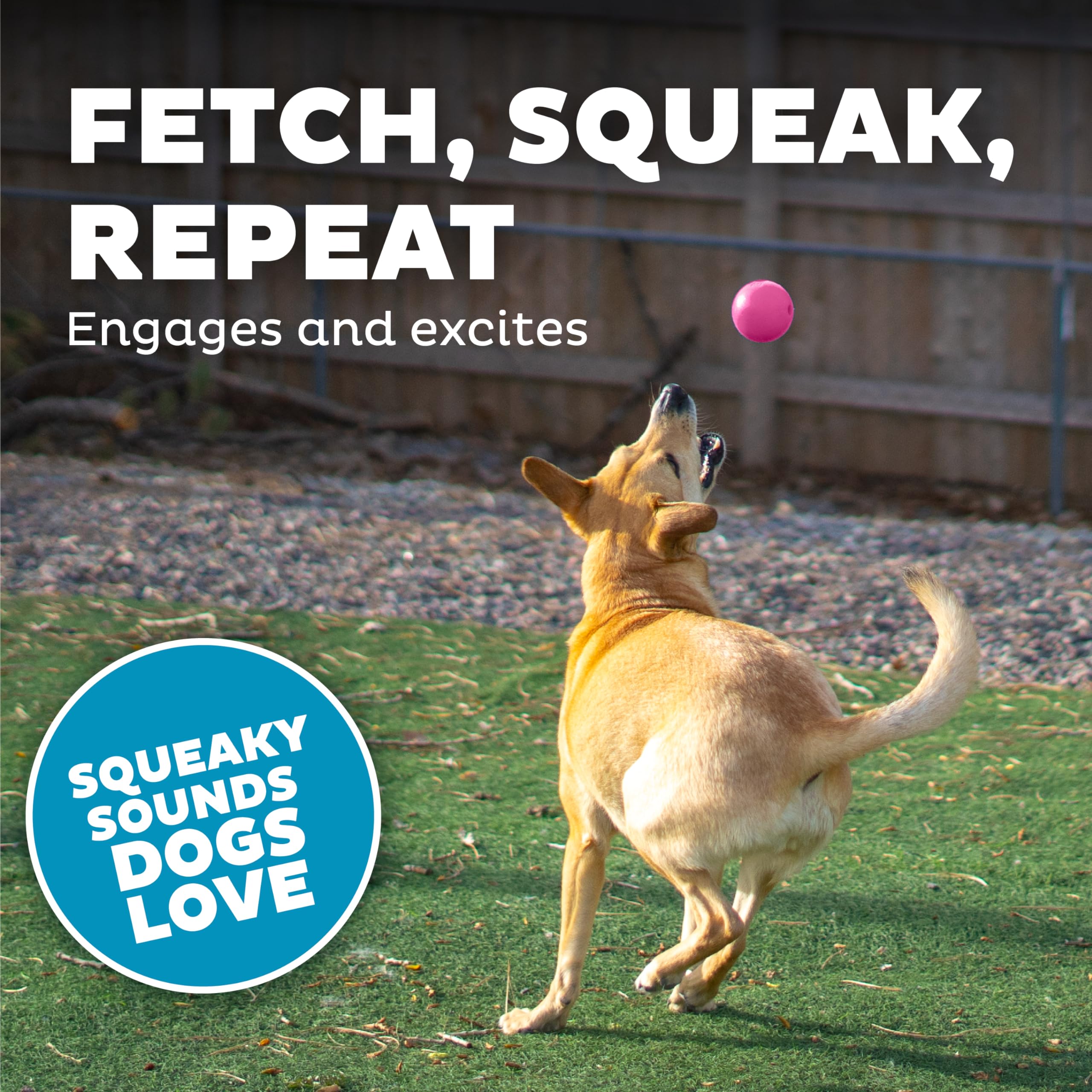 Outward Hound Squeak Ball – Color rosa atractiva para captar la atención del perro.
