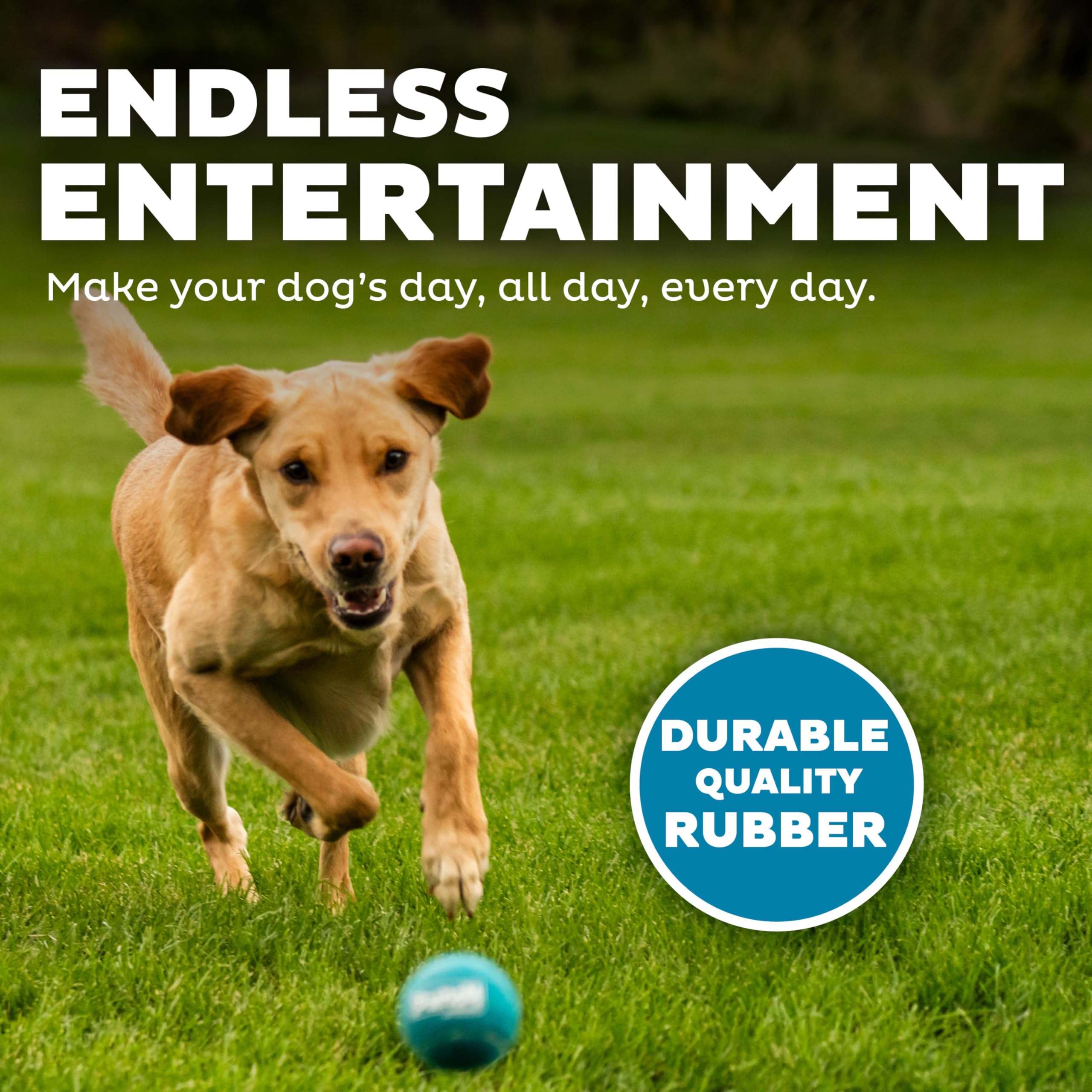 Outward Hound Squeaker Ballz: juguete interactivo para entrenamiento y diversión en casa o al aire libre