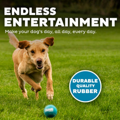 Outward Hound Squeaker Ballz: ideal para entrenamiento y juego de traer, fortalece la interacción.