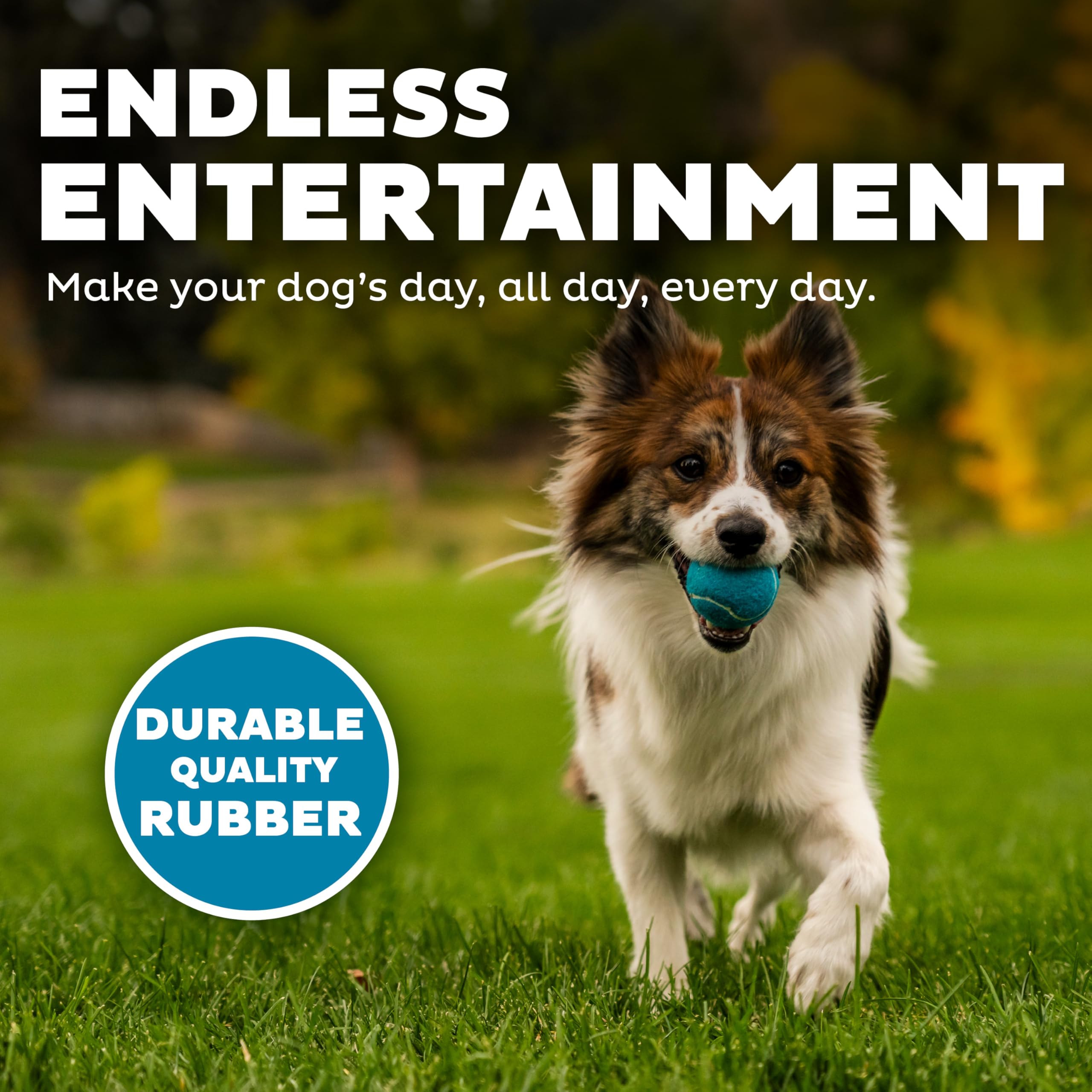 Outward Hound Squeaker Ballz: paquete de 4 pelotas para varios perros o repuestos.