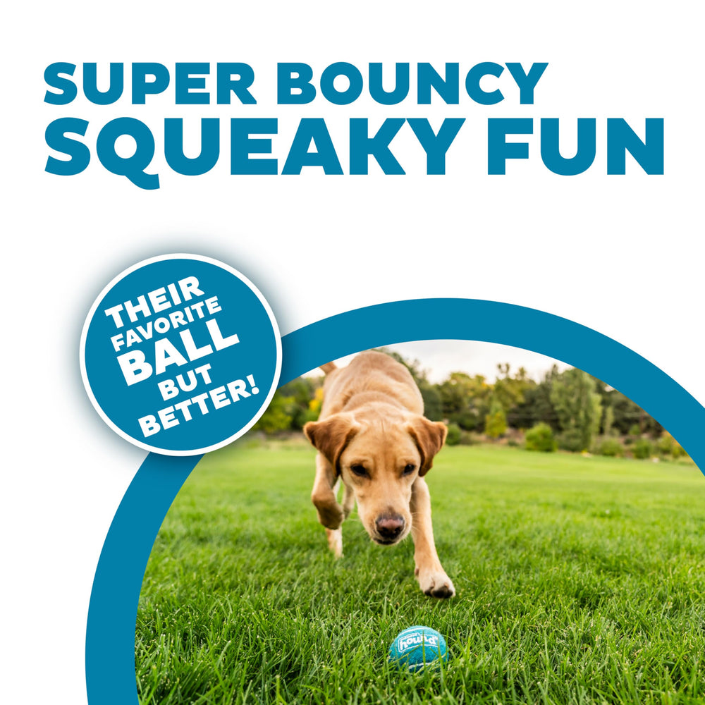 Outward Hound Squeaker Ballz: paquete de 6 bolas para perros menores de 23 kg