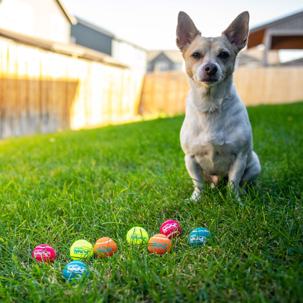 Outward Hound Squeaker Ballz: perfecto para cachorros y razas pequeñas durante paseos activos.