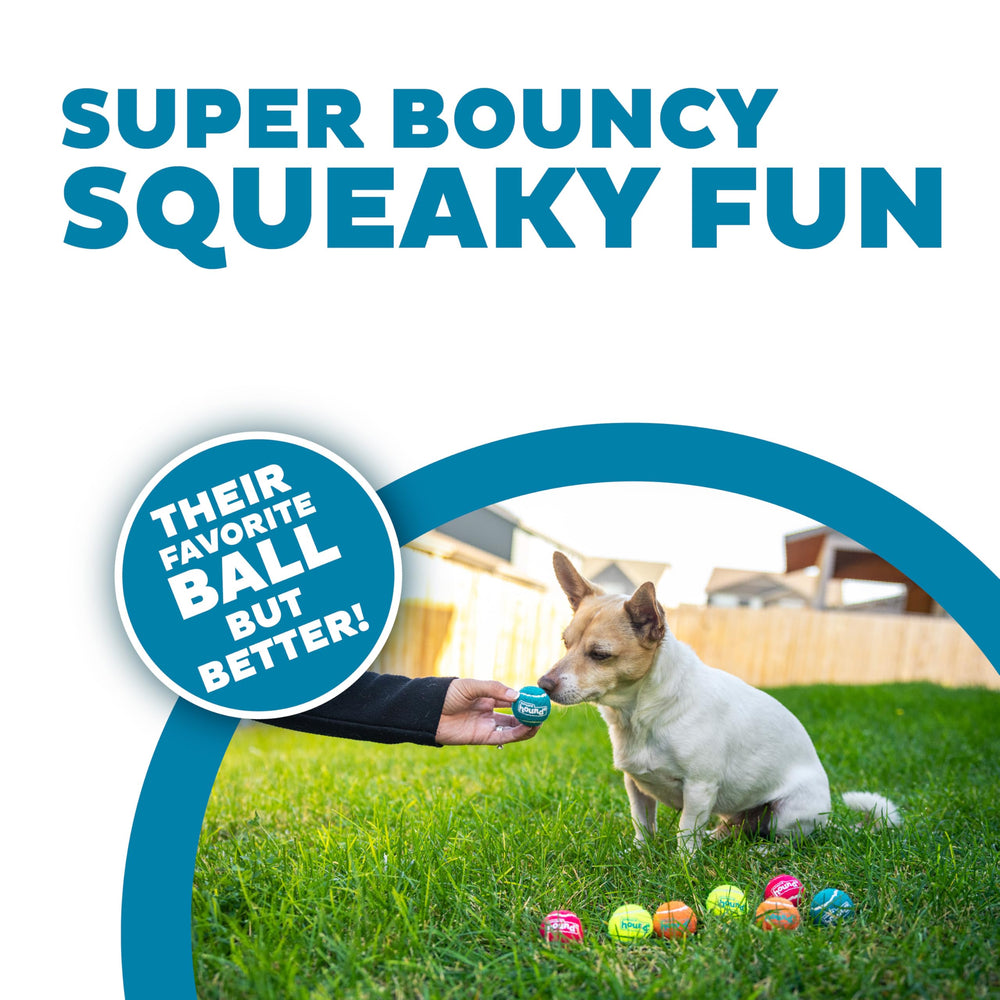 Outward Hound Squeaker Ballz: resistencia de caucho y fieltro para uso duradero.