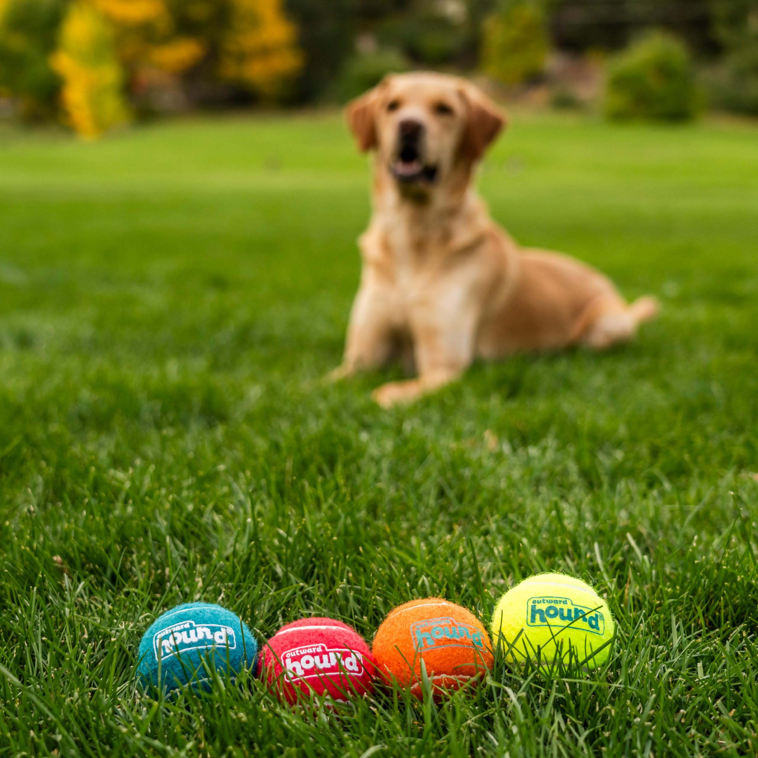 Outward Hound Squeaker Ballz: perfecto para interiores y exteriores, colores vivos para localizar rápido.