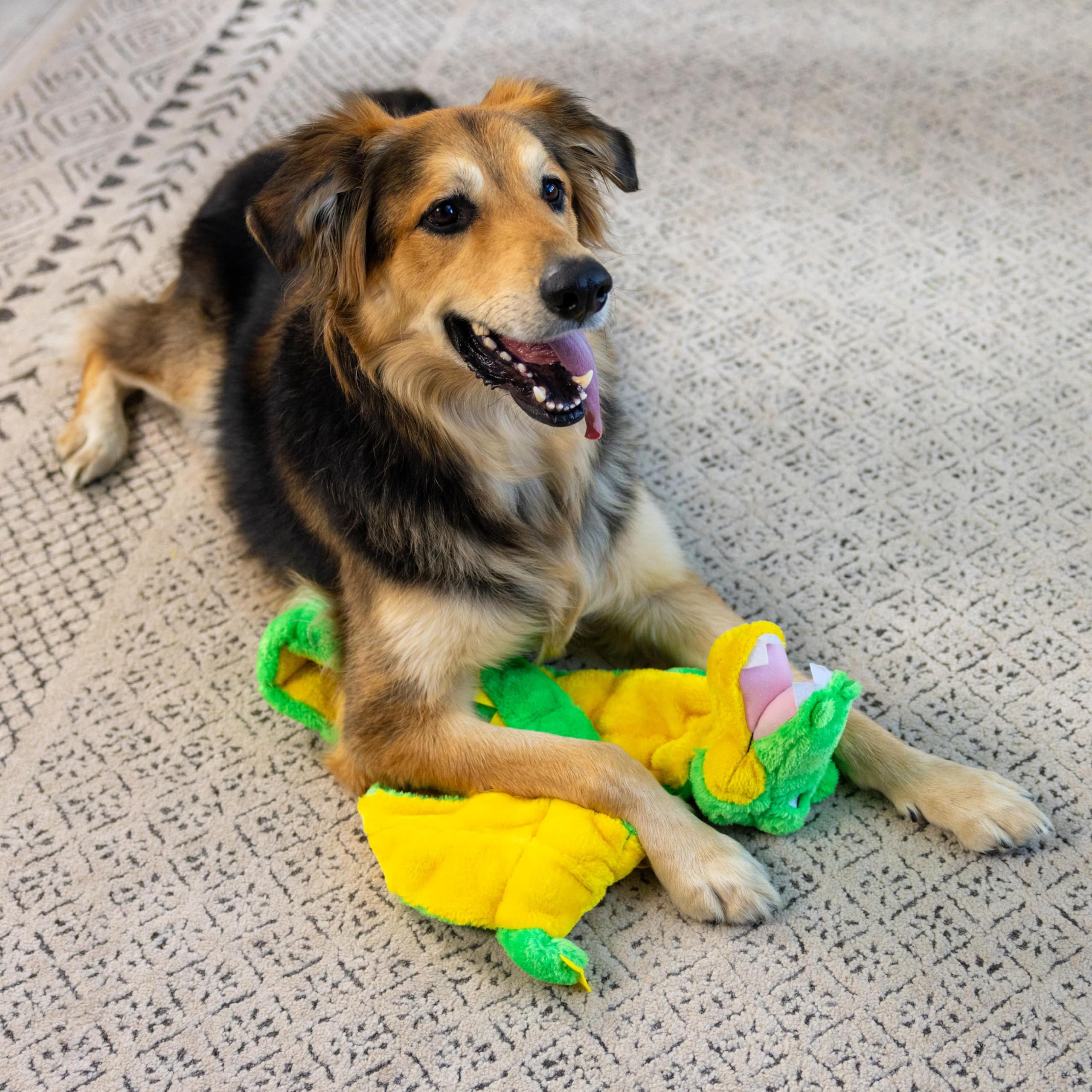 Outward Hound Squeaker Matz Gator XXL tamaño adecuado para perros grandes