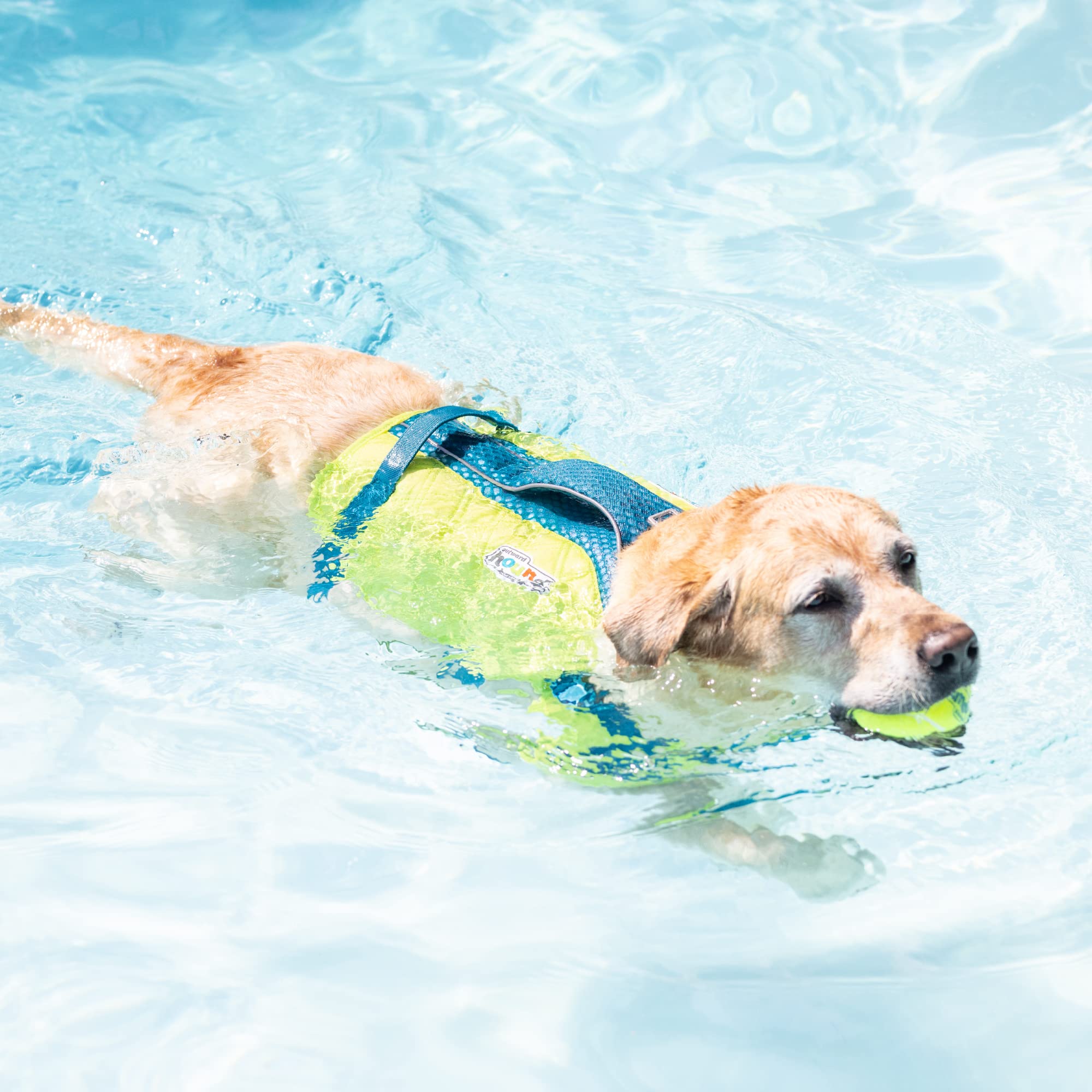 Outward Hound Standley Sport cierre rápido para ajuste rápido.