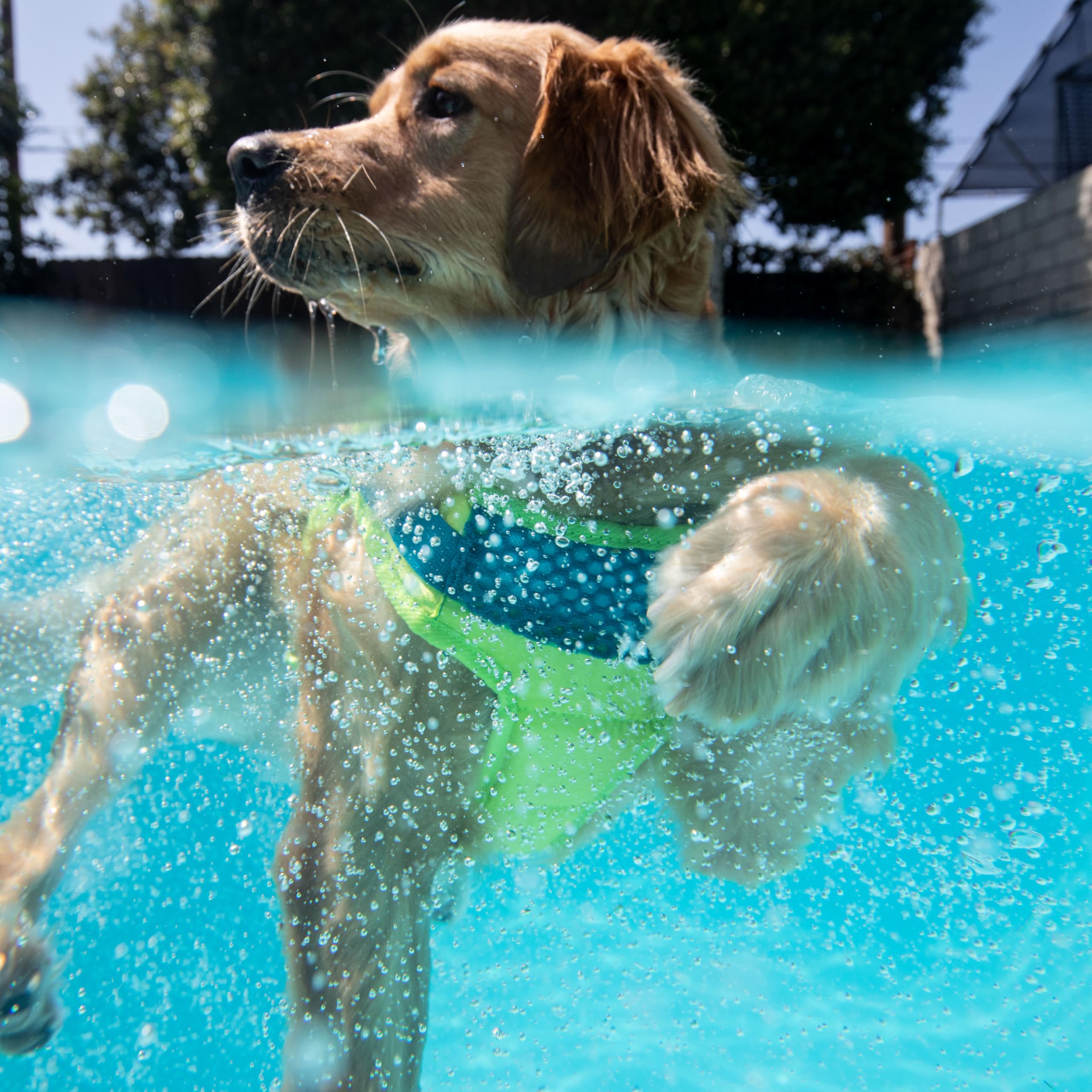 Outward Hound Standley Sport anilla para correa, control durante actividades acuáticas.
