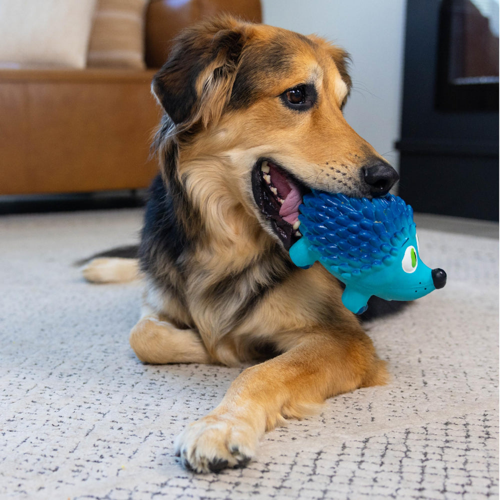 Outward Hound Tootiez juego interactivo con sonido para entretenimiento