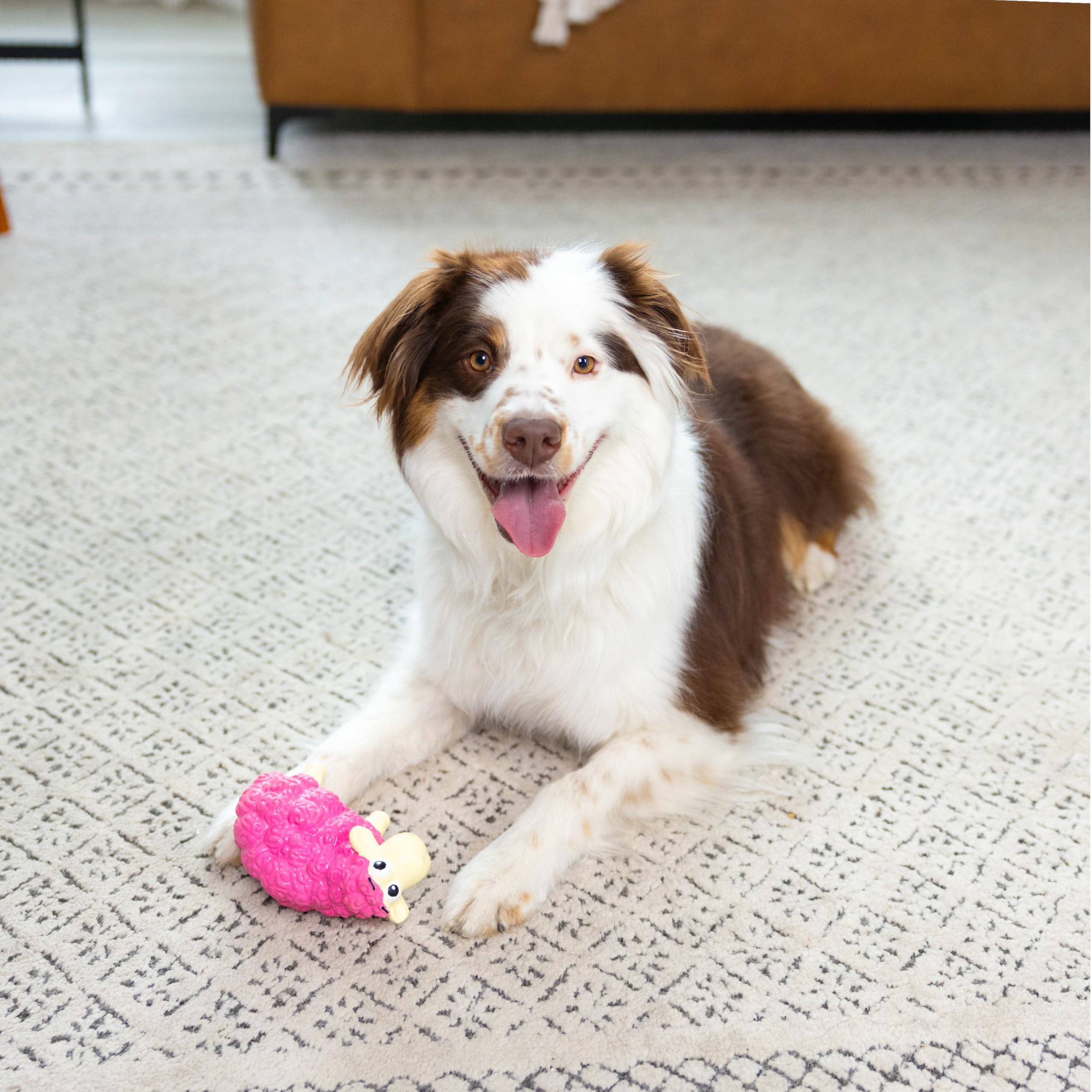 Tootiez tamaño pequeño de Outward Hound, ideal para perros pequeños y viajes.