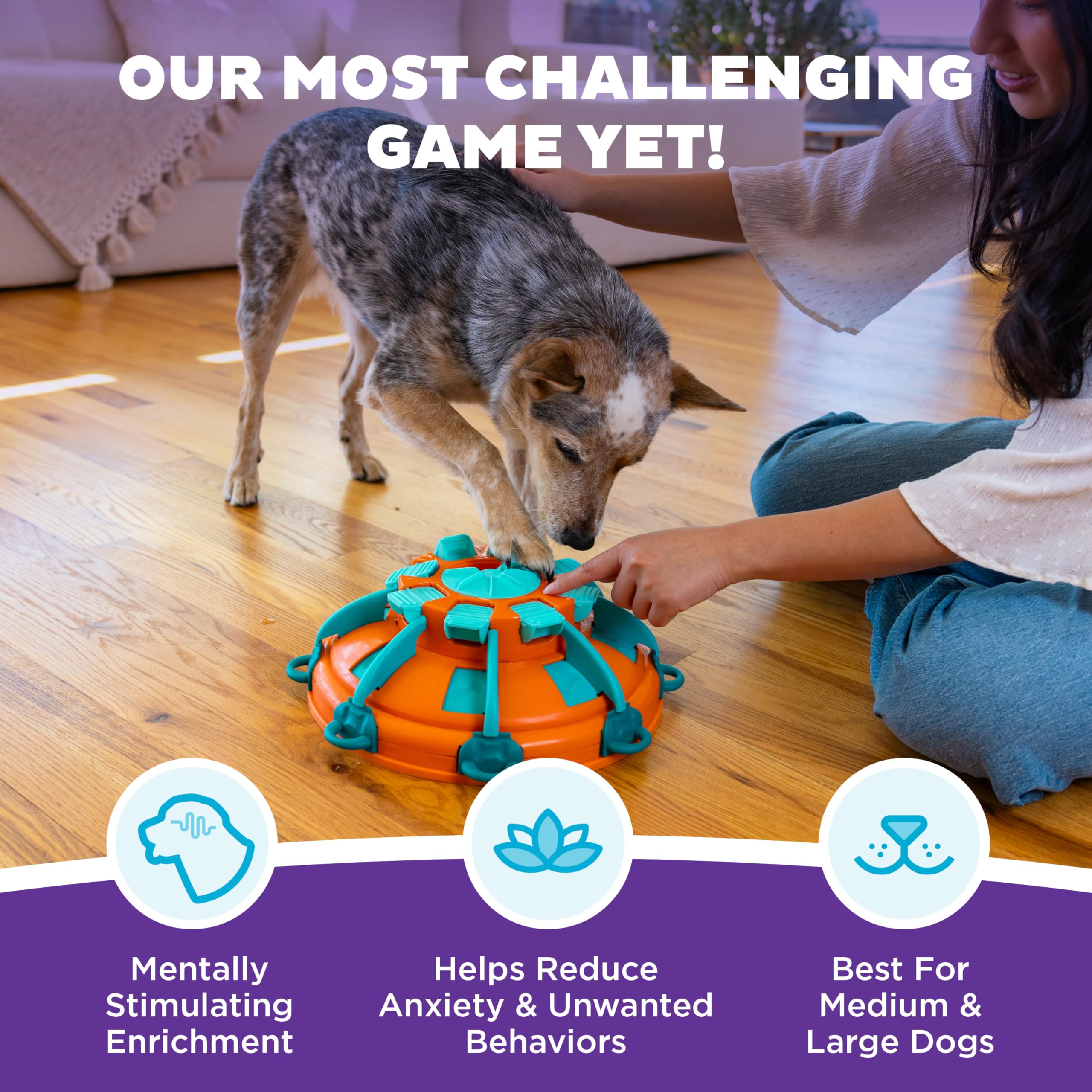 Torre de Premios Outward Hound: foco en capas y desbloqueo para recompensas.