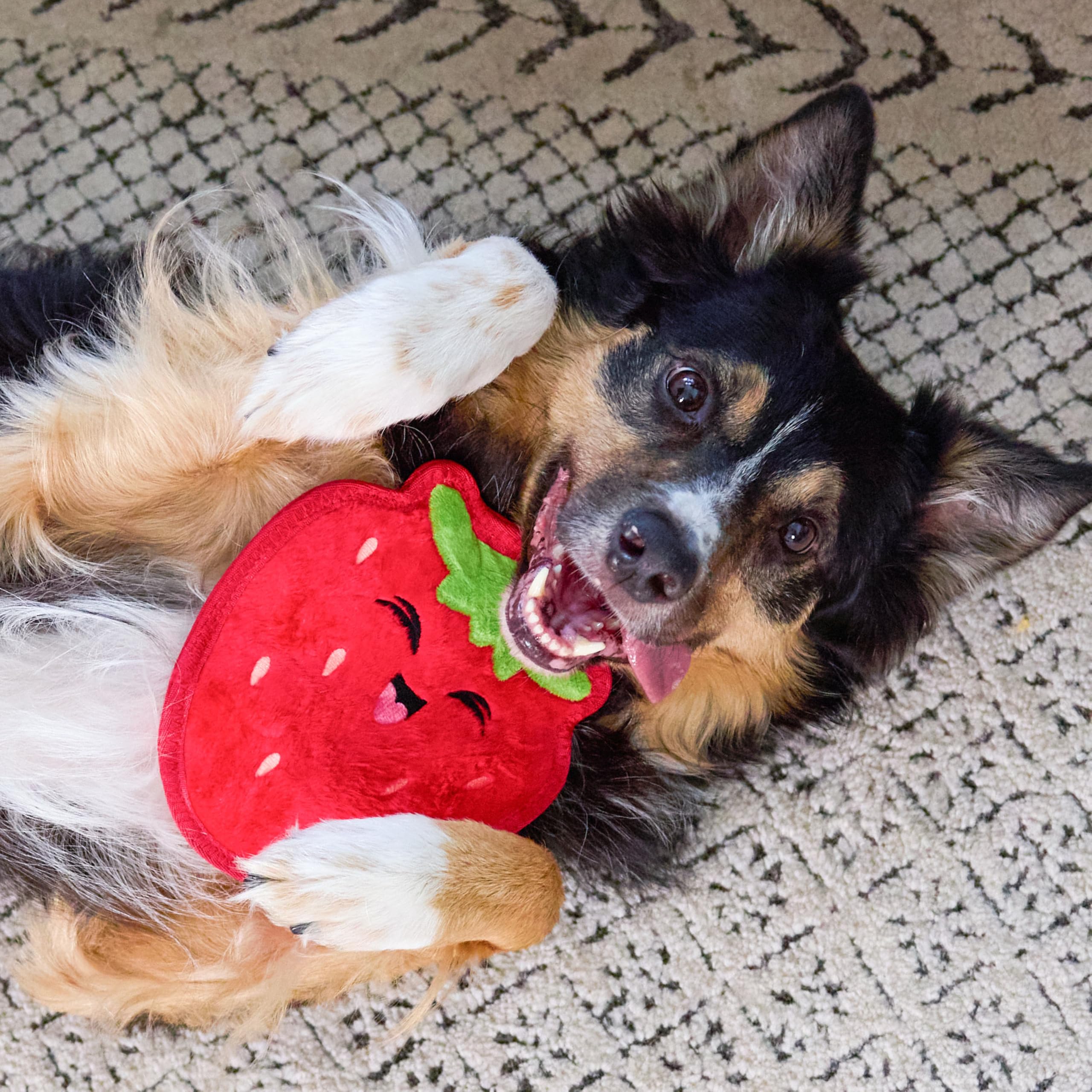 Outward Hound Tough Skinz, ideal para jugar a tirar y traer.