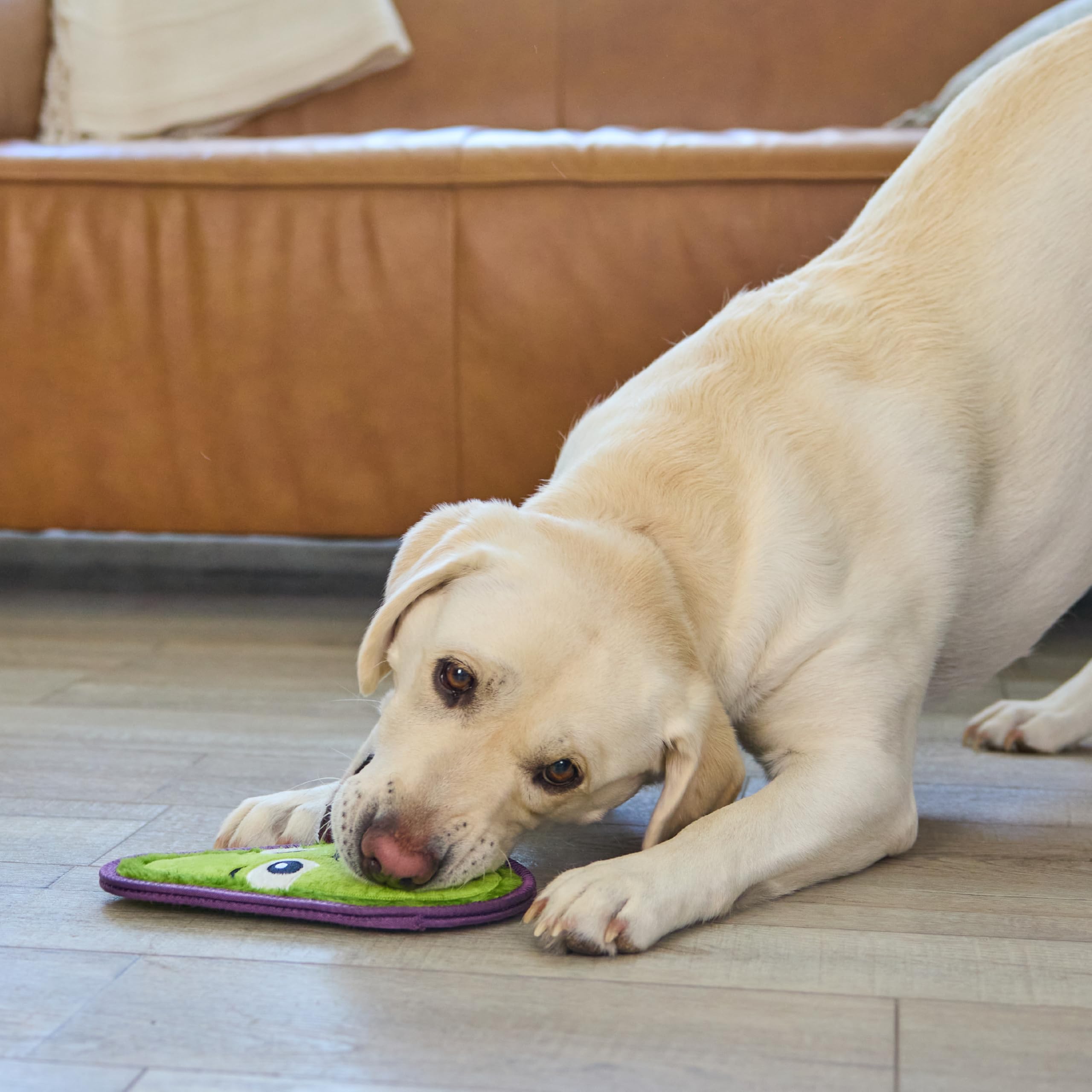 Outward Hound Tough Skinz: sin relleno, menos desorden.