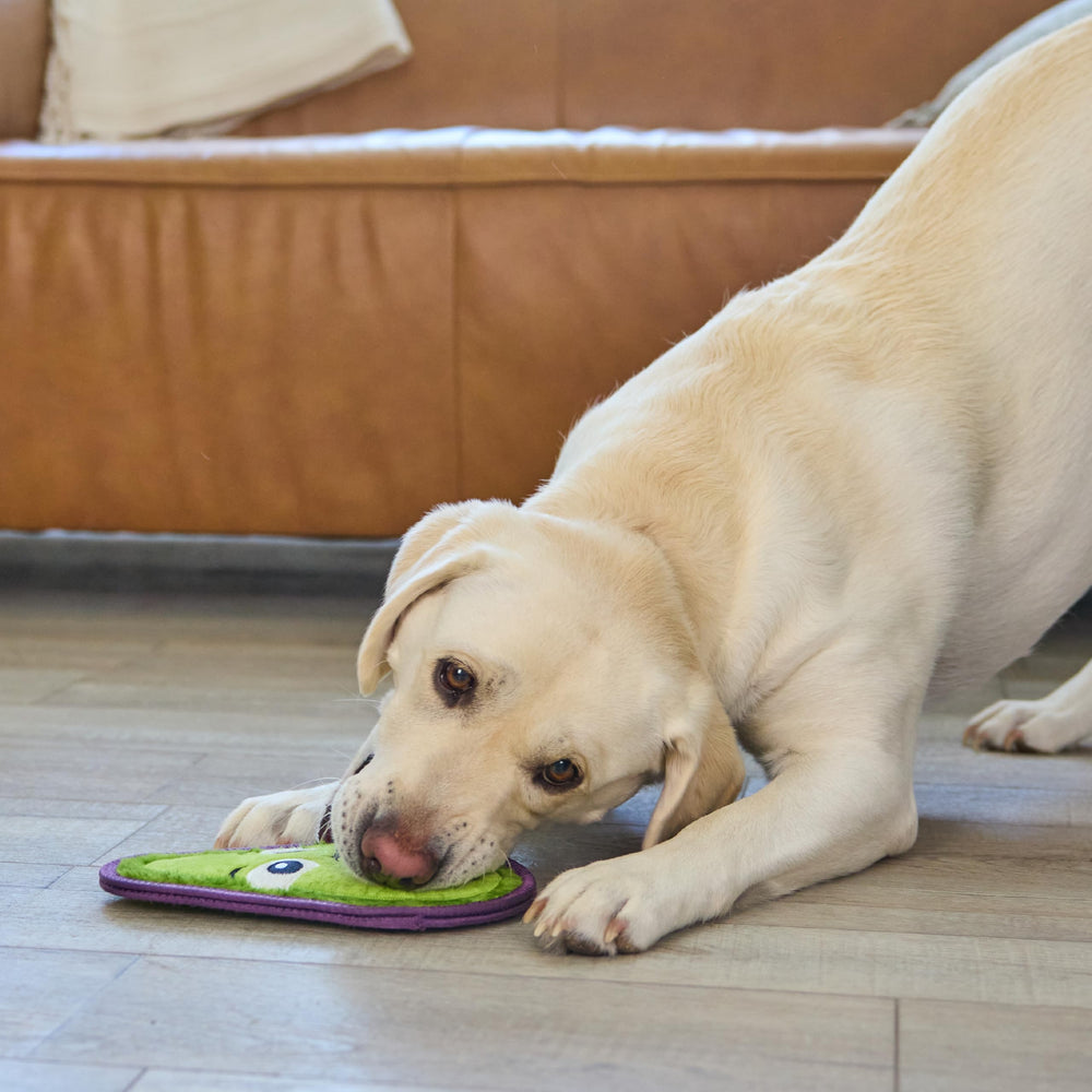 Outward Hound Tough Skinz: sin relleno, menos desorden.
