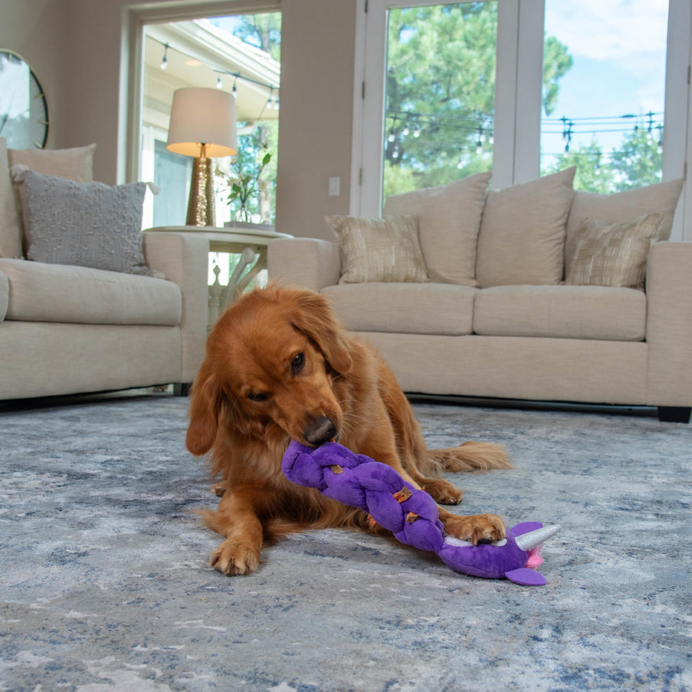 Outward Hound Twistiez, fácil limpieza y cuidado rápido tras las sesiones.