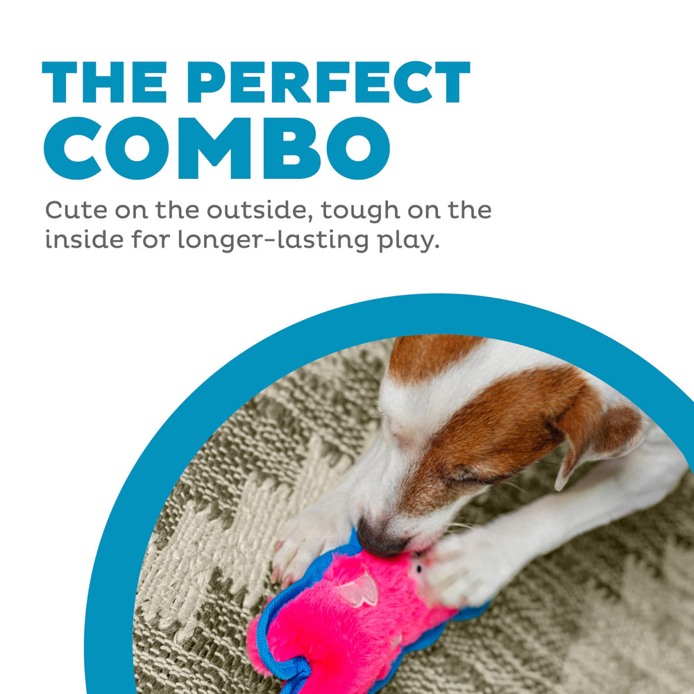 Juguete-interactivo Durablez Mini de Outward Hound mantiene al perro atento y entretenido