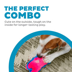 Juguete-interactivo Durablez Mini de Outward Hound mantiene al perro atento y entretenido