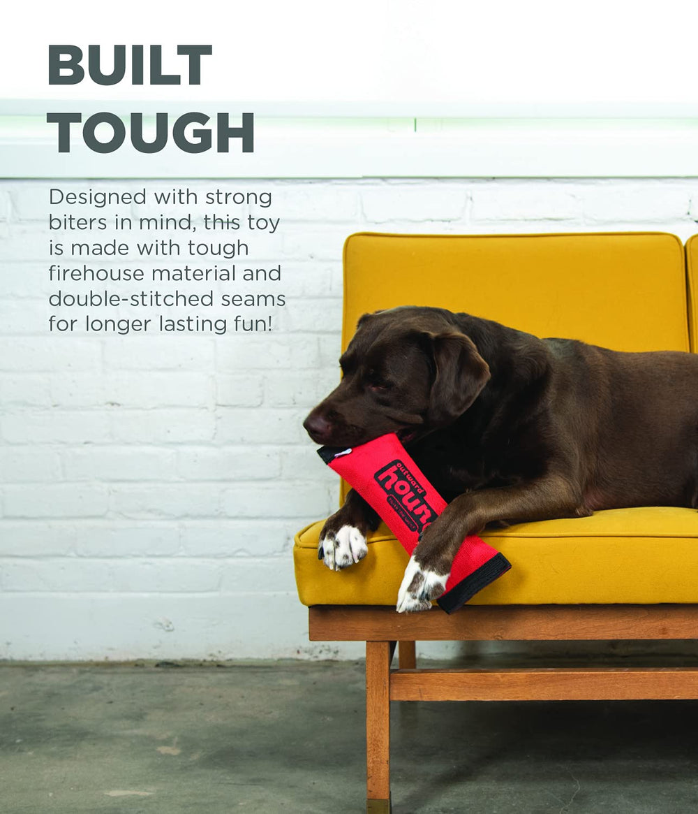 Outward Hound Firehose Fetch: versión con sonido que incentiva la caza y la búsqueda.