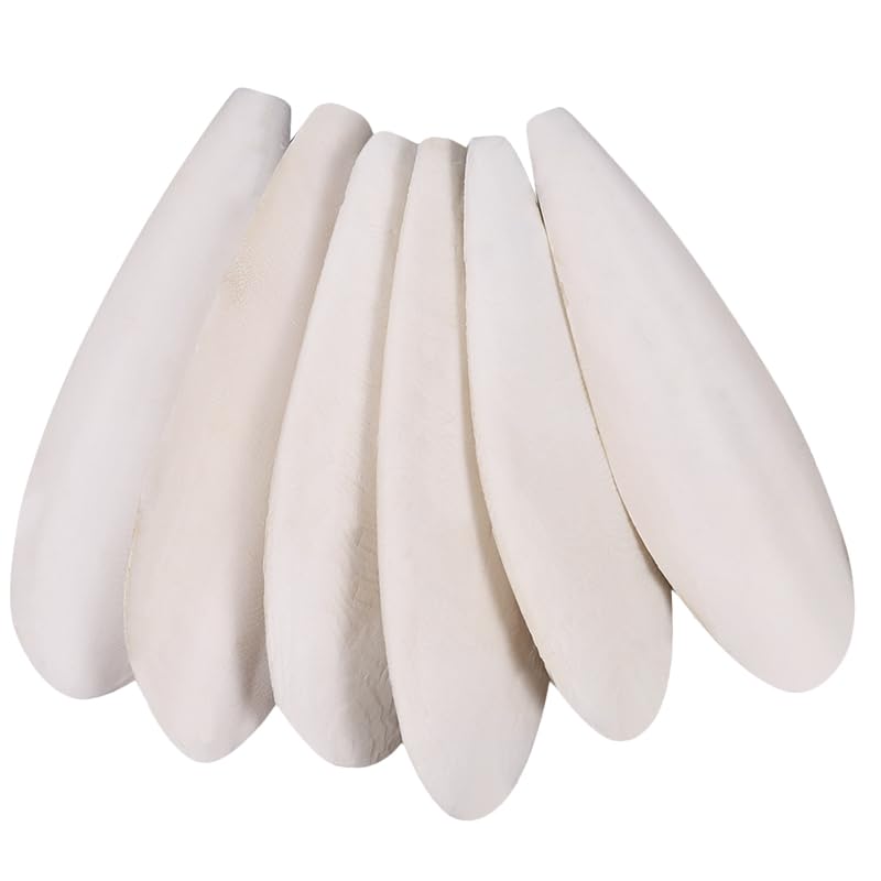 Ovveroche cuttlebone natural de 6 piezas para aves, 11-11,5 cm.