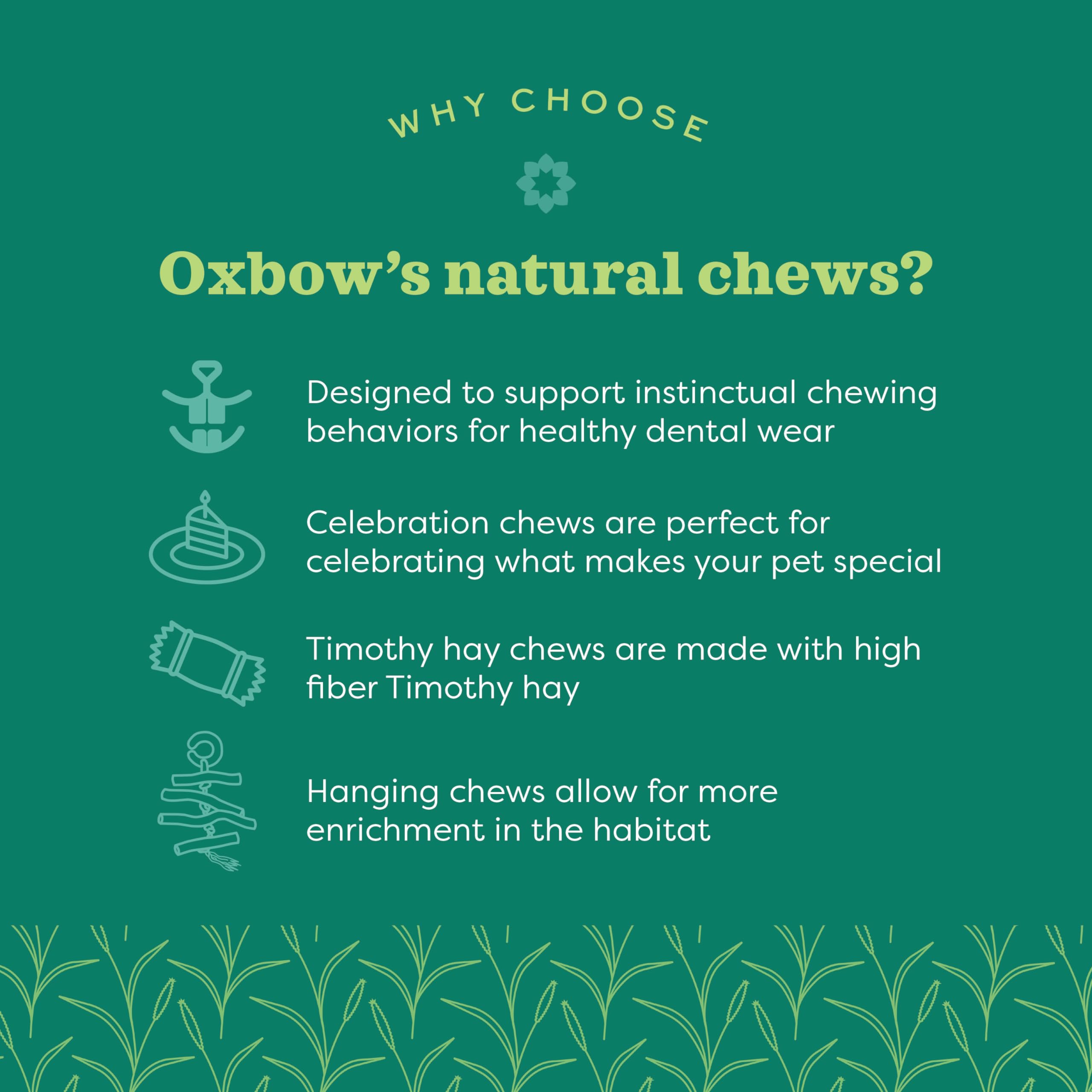 Oxbow alfombra heno Timothy para chinchillas, promueve juego y exploración con fibra natural.