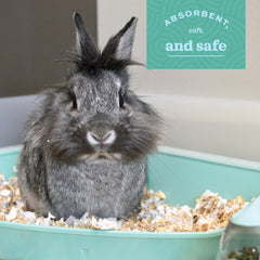 Reducción de polvo al 99,9% con Confort Puro Lecho.