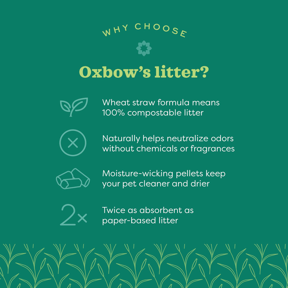 Oxbow Eco Straw Litter con alta absorción mantiene la jaula seca.