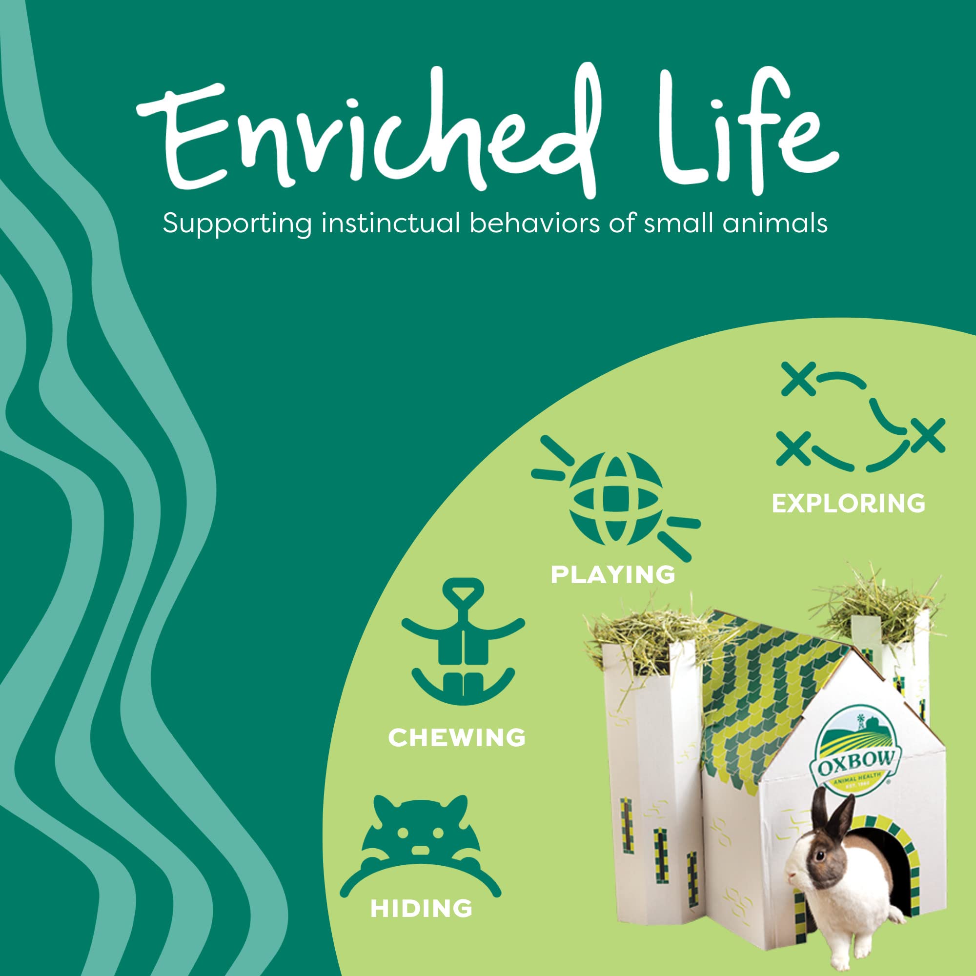 Oxbow Enriched Life: gofre de heno Timothy, juguete natural para masticar y jugar.