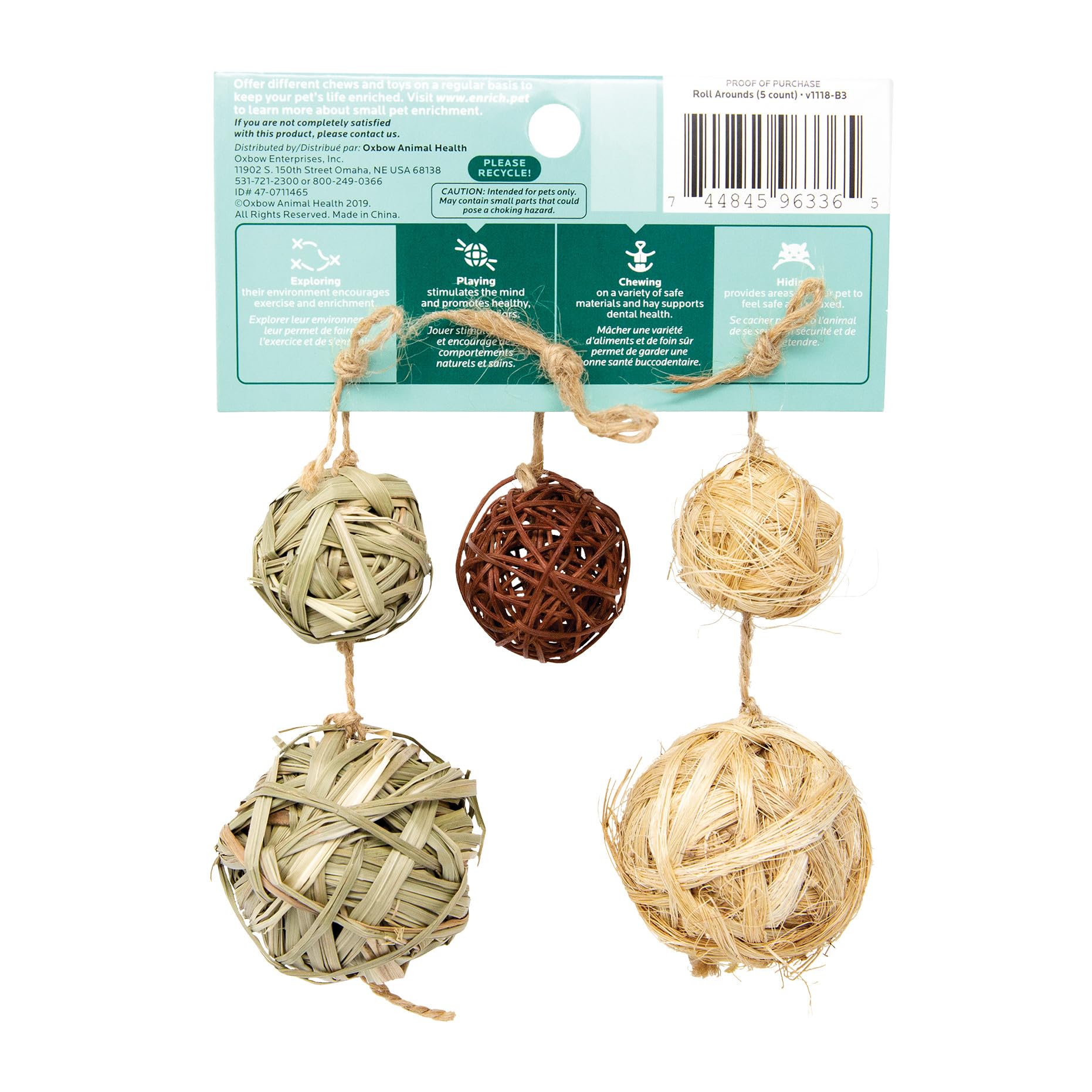 Oxbow Enriched Life Roll Arounds: conejillo de indias explorando, estimula la curiosidad