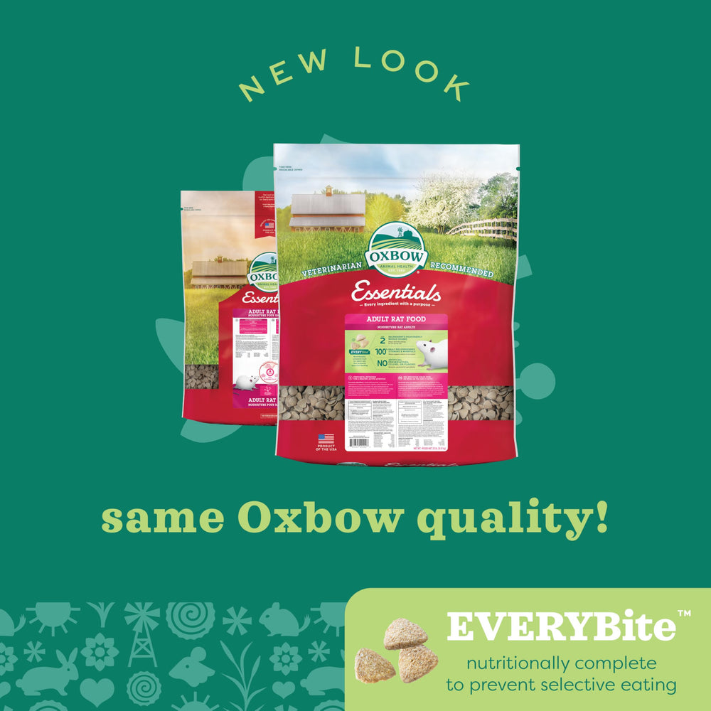 Oxbow Essentials: sabor agradable para rata adulta que facilita la alimentación diaria.