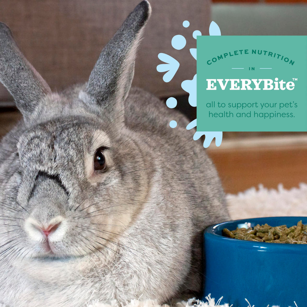 Oxbow Essentials recomendado por veterinarios para conejo joven.