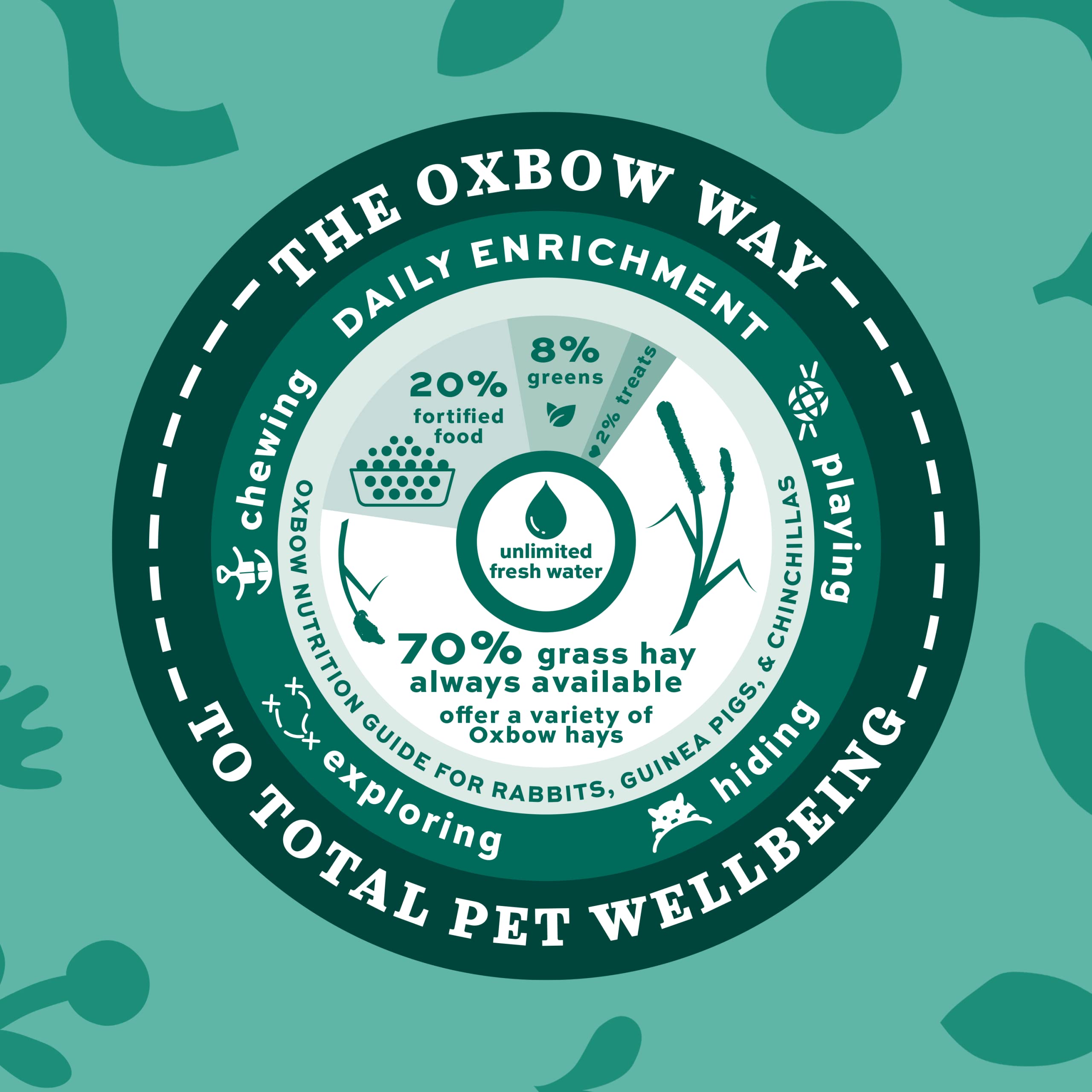 Oxbow Essentials Senior Rabbit: pellets fáciles de digerir para conejos mayores