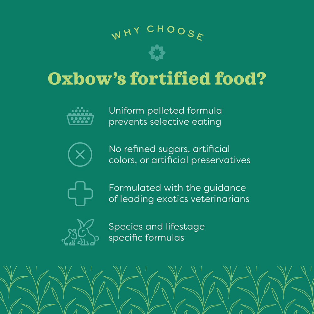 Oxbow Essentials Senior Rabbit: envase de 8 lb para facilitar la alimentación
